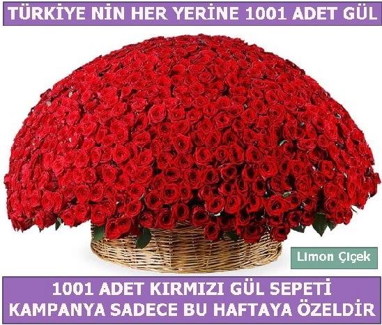 1001 Adet krmz gl Bu haftaya zel  Bursa nternetten iek siparii 
