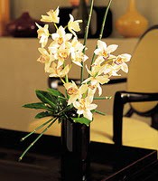 Bursa iekiler  cam yada mika vazo ierisinde dal orkide