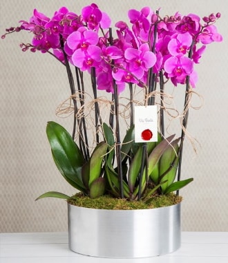 11 dall mor orkide metal vazoda  Bursa iek gnderme sitemiz gvenlidir 